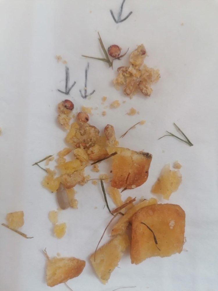 Giftköder-Giftköder in Grevenbroich Gustorf-Profilbild