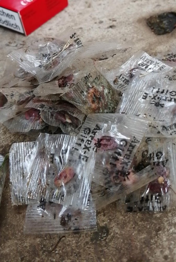 Giftköder-Giftköder-Profilbild