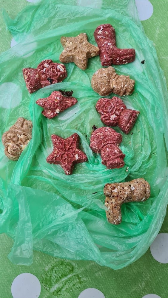 Giftköder-Ausgelegte Hundekeckse-Profilbild