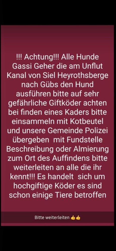 Giftköder-Giftköder-Profilbild