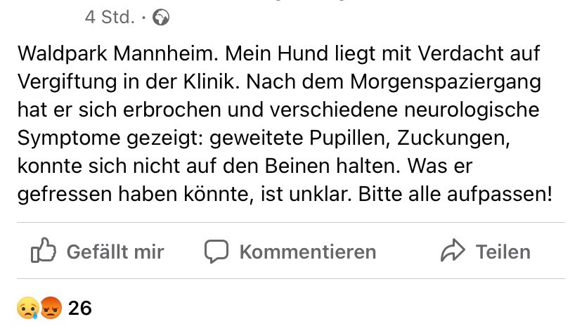 Giftköder-Vergifteter Hund-Profilbild