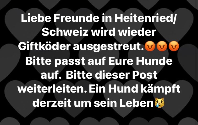 Giftköder-Toter Hund - Giftköder-Profilbild