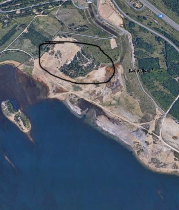 Giftköder-Giftköder & vergifteter Hund-Profilbild