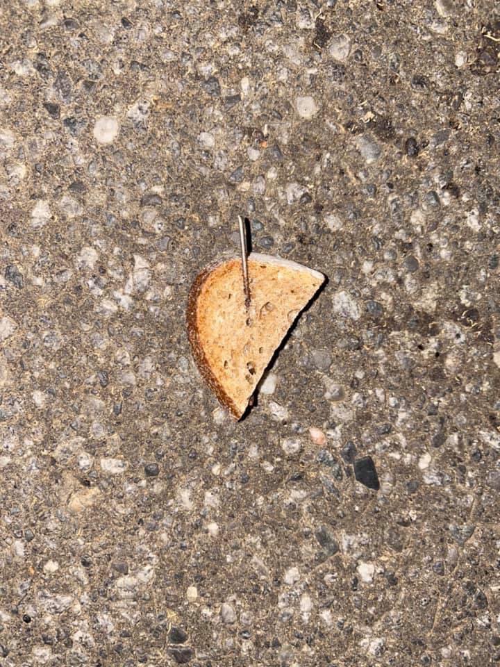 Giftköder-Brot mit Nägeln-Profilbild