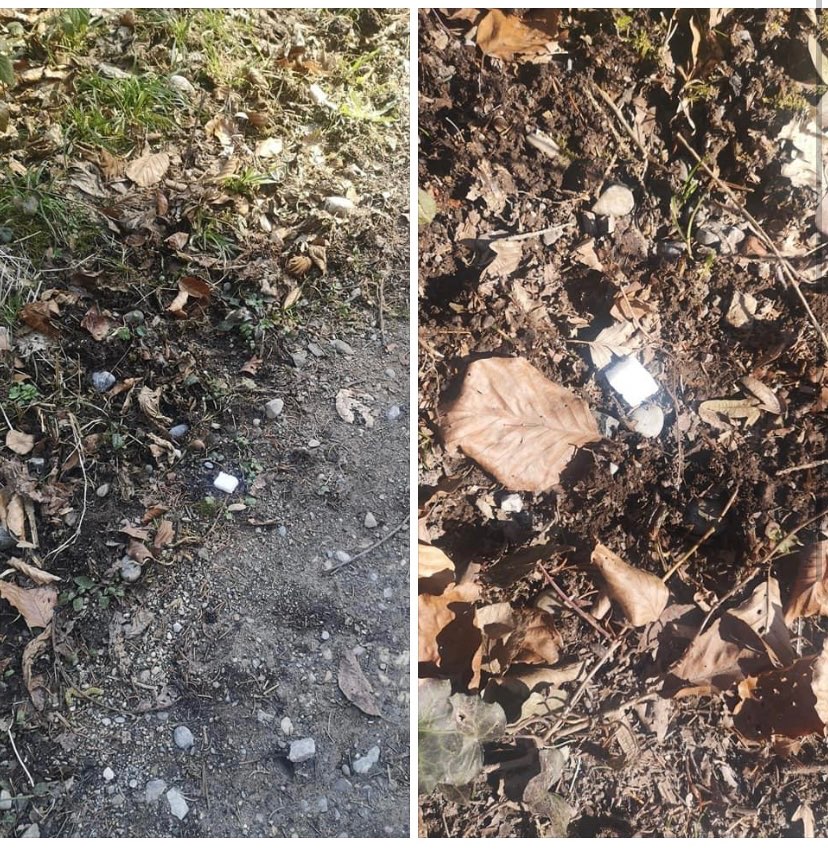 Giftköder-Giftköder-Profilbild