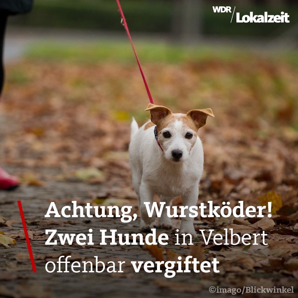 Giftköder-Wurstköder-Profilbild