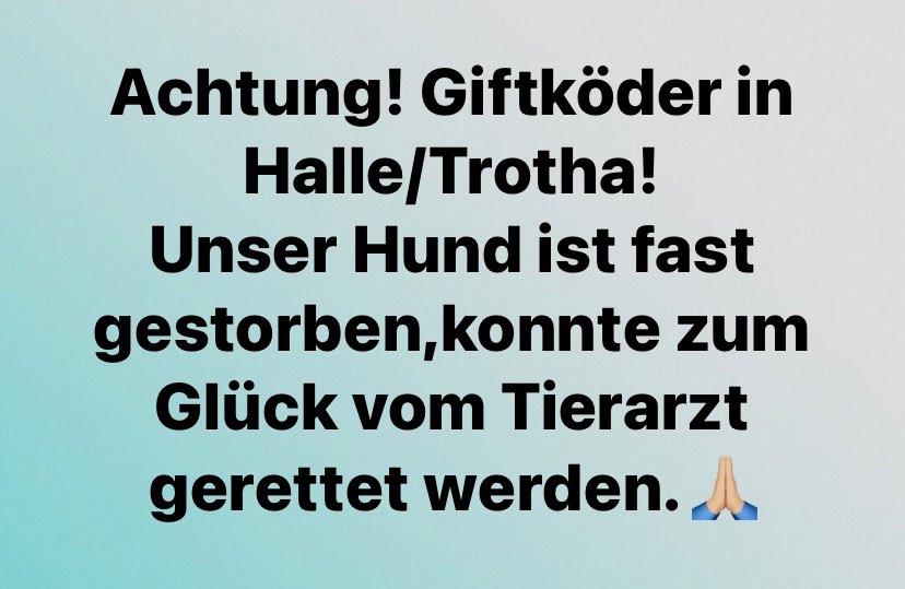 Giftköder-Giftköder-Profilbild