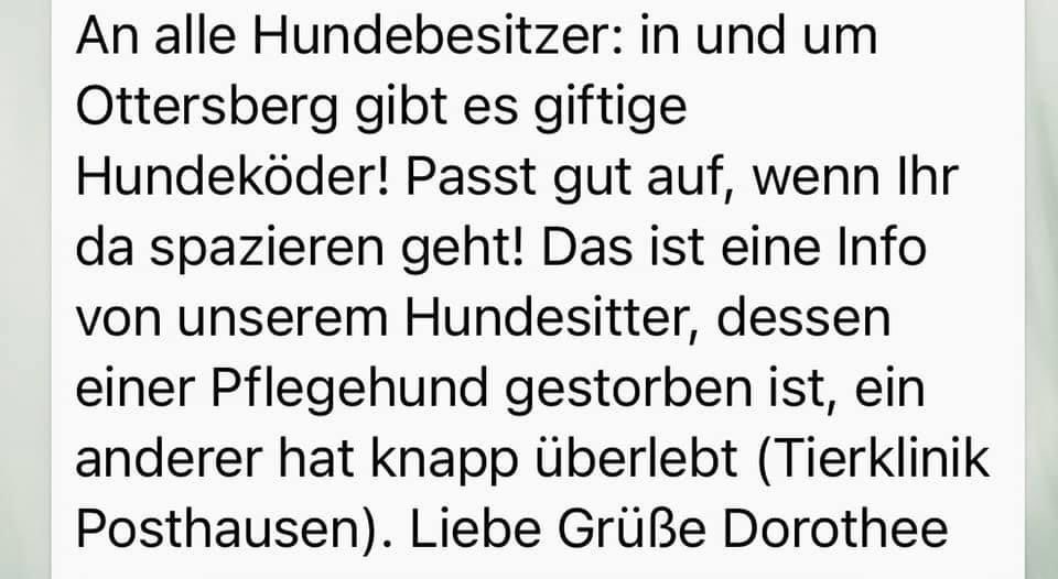 Giftköder-Giftköder-Profilbild