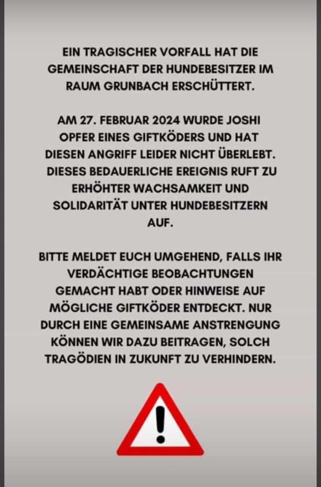 Giftköder-Giftköder-Profilbild