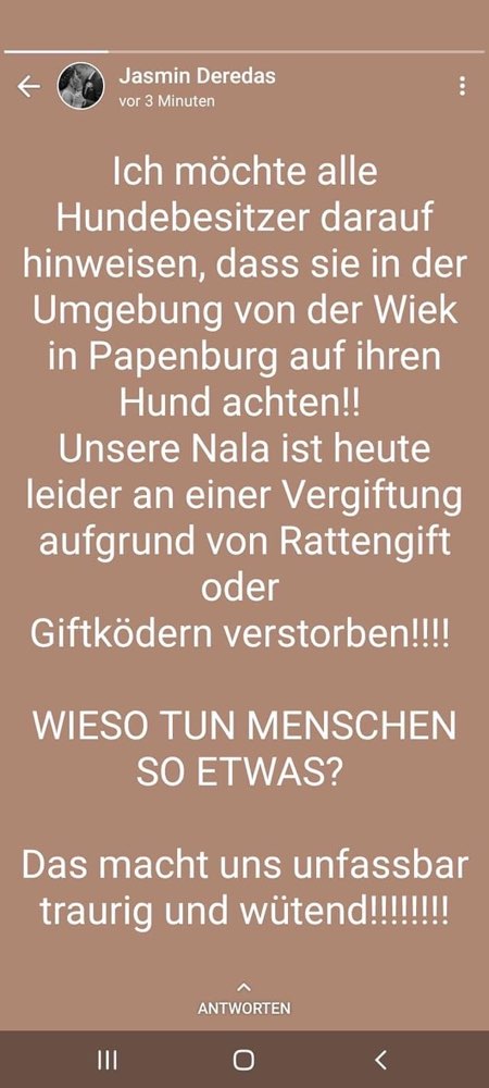 Giftköder-Rattengift-Profilbild