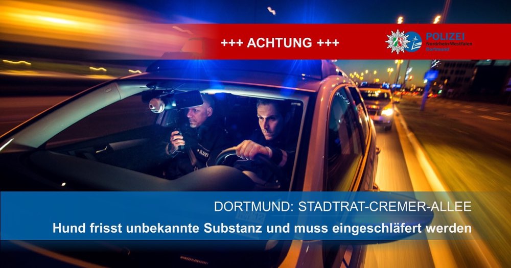 Giftköder-Giftköder // vergiftetes Brot-Profilbild