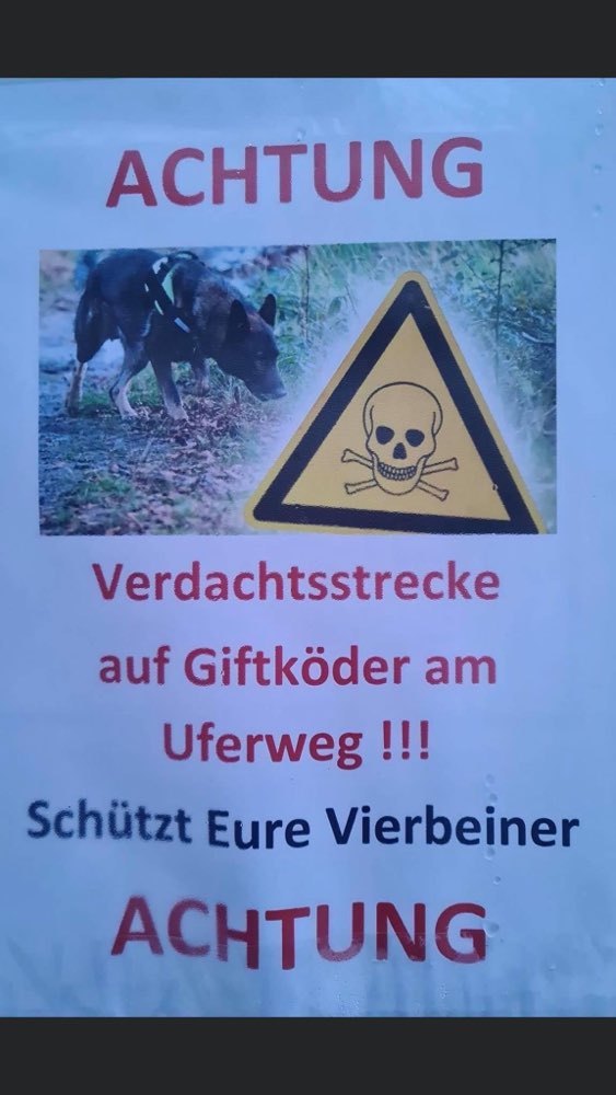 Giftköder-Giftköder-Profilbild