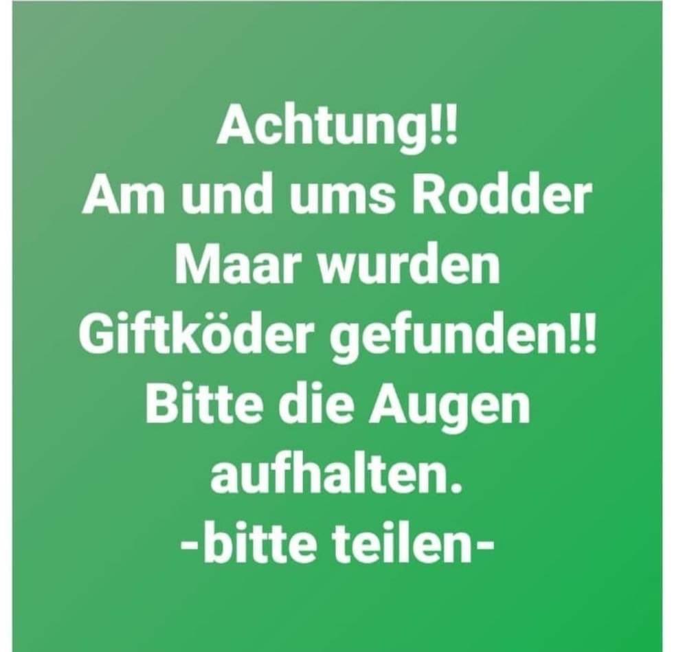 Giftköder-Giftköder-Profilbild