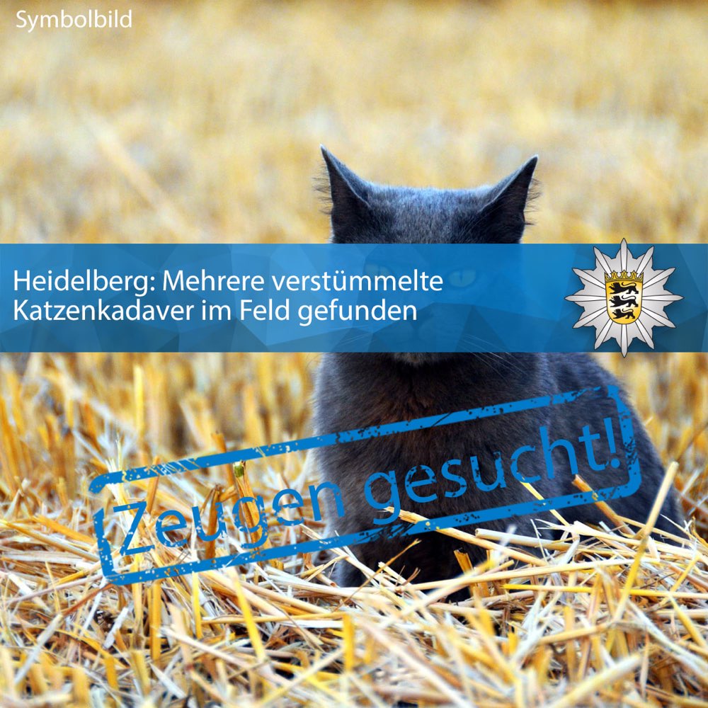 Giftköder-Verstümmelte Katzen-Profilbild