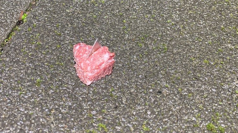 Giftköder-Mayen – Köder mit Teppichmesserklingen-Profilbild