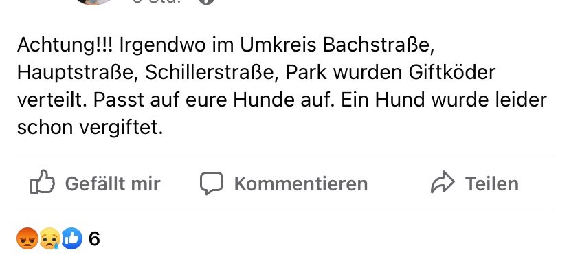 Giftköder-Vergifteter Hund-Profilbild
