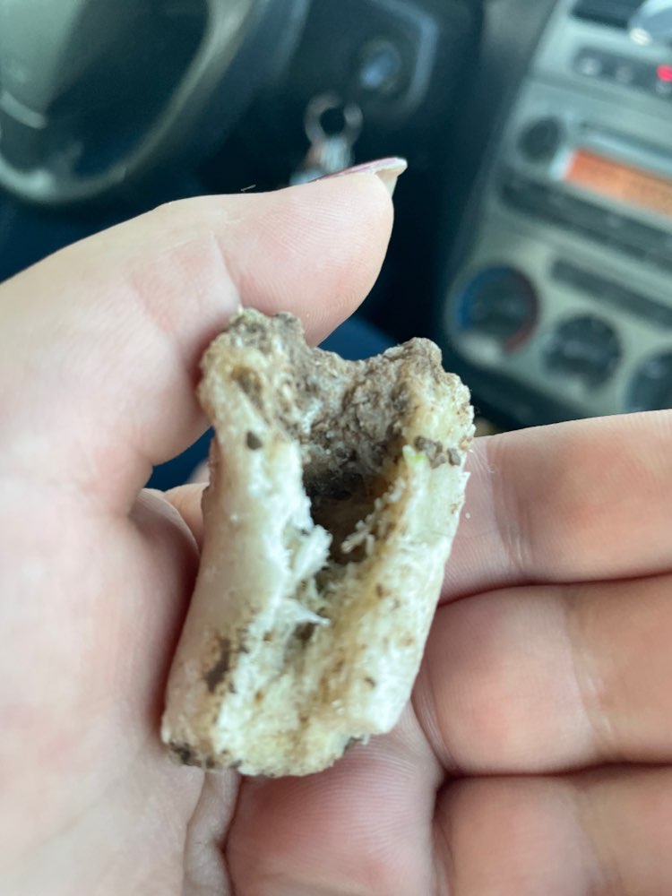 Giftköder-Eventueller Giftköder-Profilbild