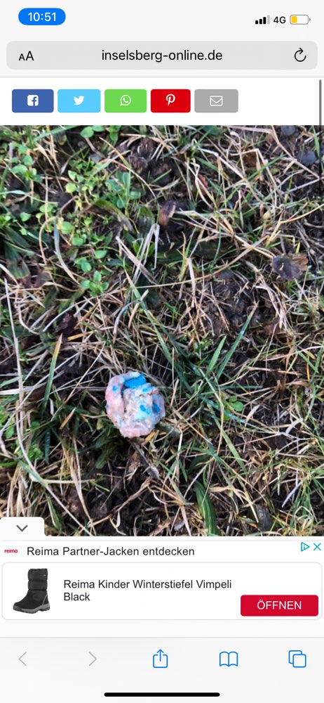 Giftköder-Köder in Floh gefunden!-Profilbild