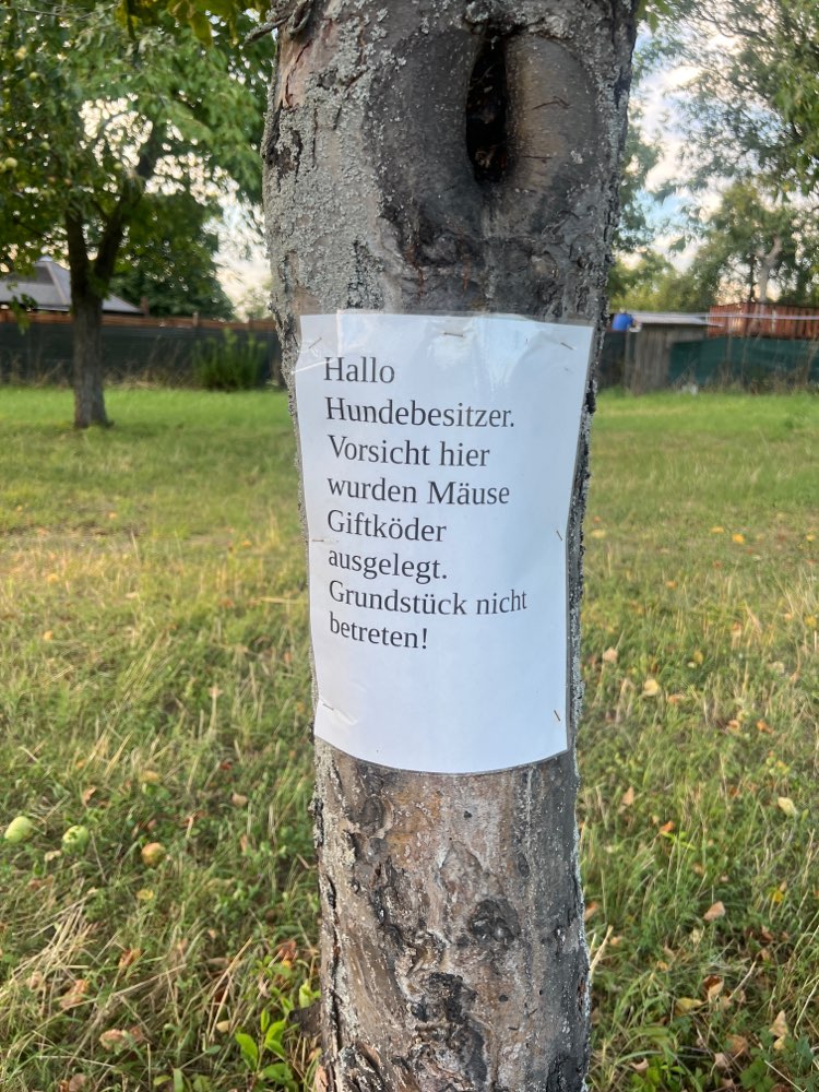 Giftköder-Giftköder ausgelegt!-Profilbild