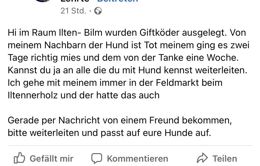 Giftköder-Giftköder - 1 Toter Hund-Profilbild