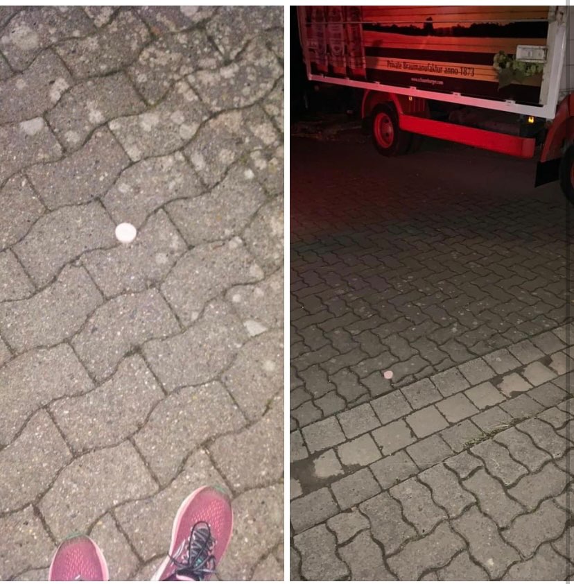 Giftköder-Erneut Giftköder-Profilbild