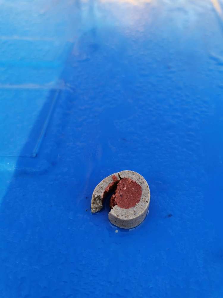 Giftköder-Leckerlies evt Giftköder-Profilbild