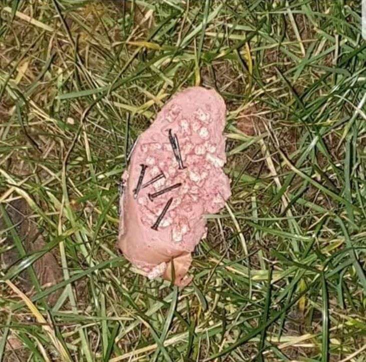 Giftköder-Giftköder-Profilbild