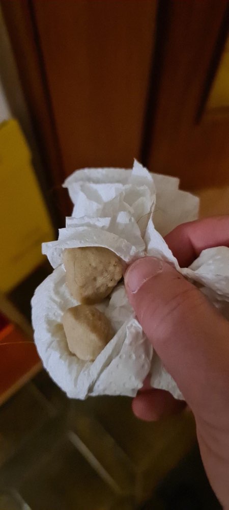 Giftköder-Giftköder-Profilbild