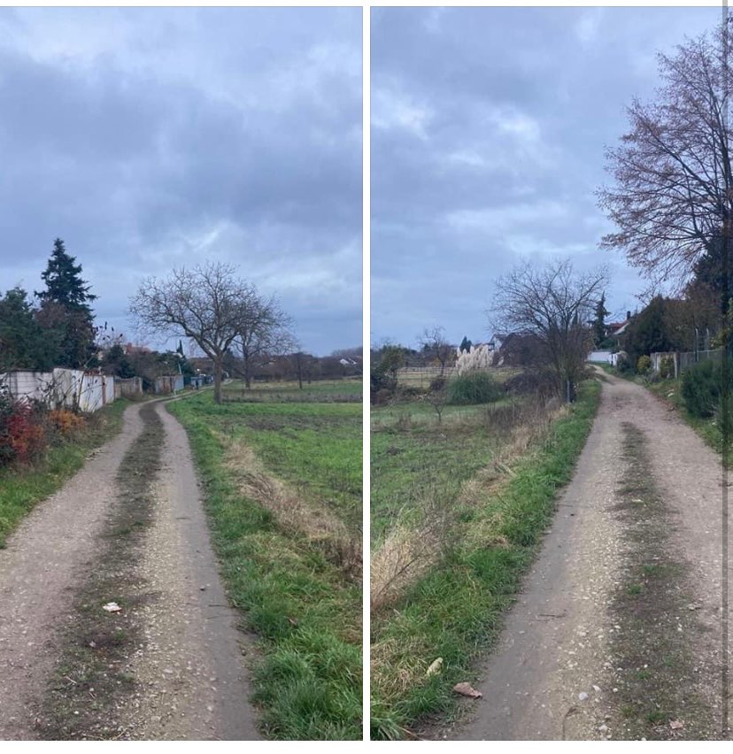 Giftköder-Achtung Giftköder-Profilbild