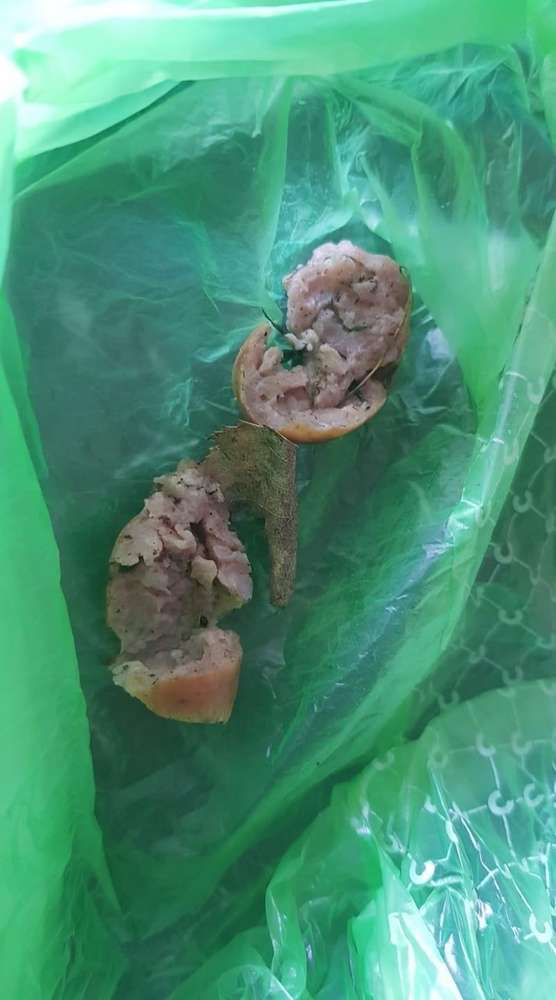 Giftköder-Wurststücke-Profilbild