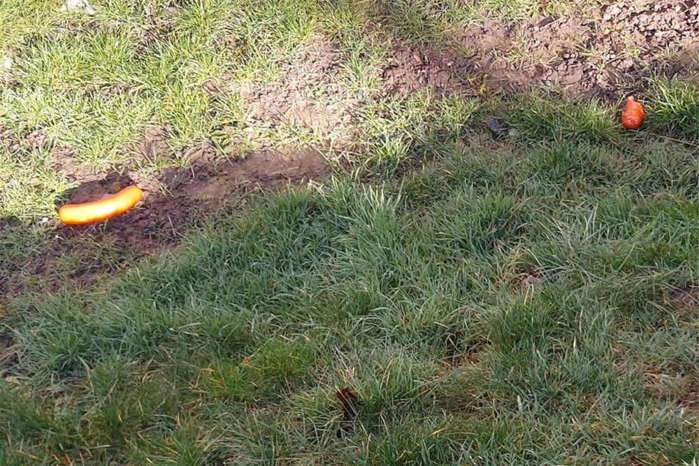 Giftköder-Wurststückchen-Profilbild