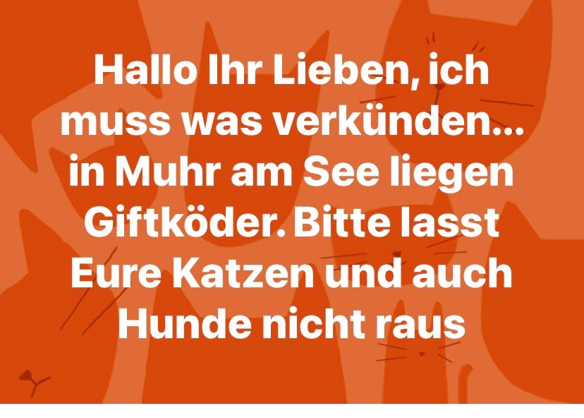 Giftköder-Giftköder-Profilbild