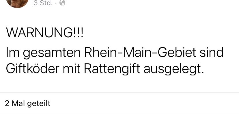 Giftköder-Rattengift-Profilbild