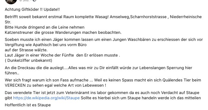 Giftköder-Vergifteter Waschbär-Profilbild