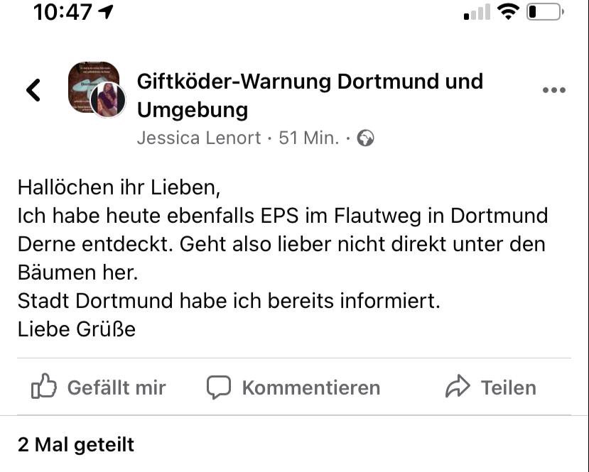 Giftköder-Eichenprozessionsspinner-Profilbild