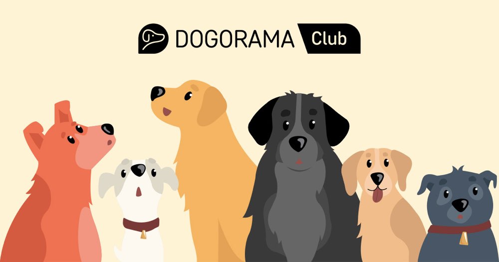 Deine Fragen zum Dogorama Club