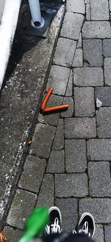 Giftköder-Würste verteilt-Profilbild