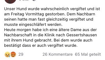 Giftköder-Giftköder - Toter Hund-Profilbild