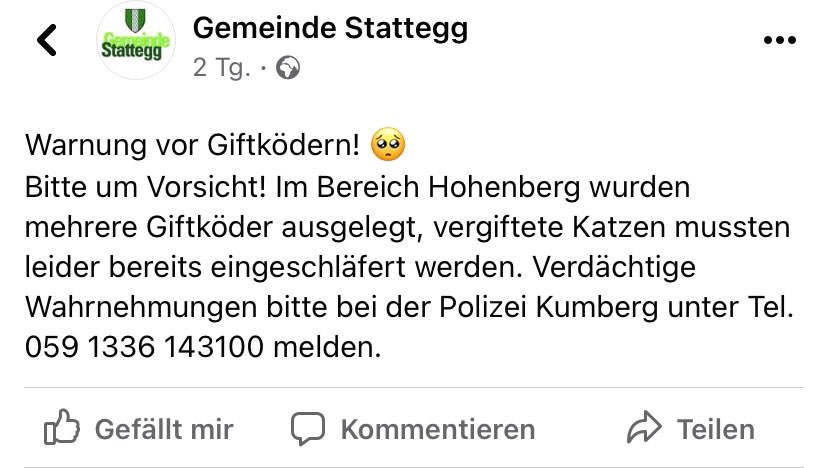 Giftköder-Vergiftete Katze-Profilbild