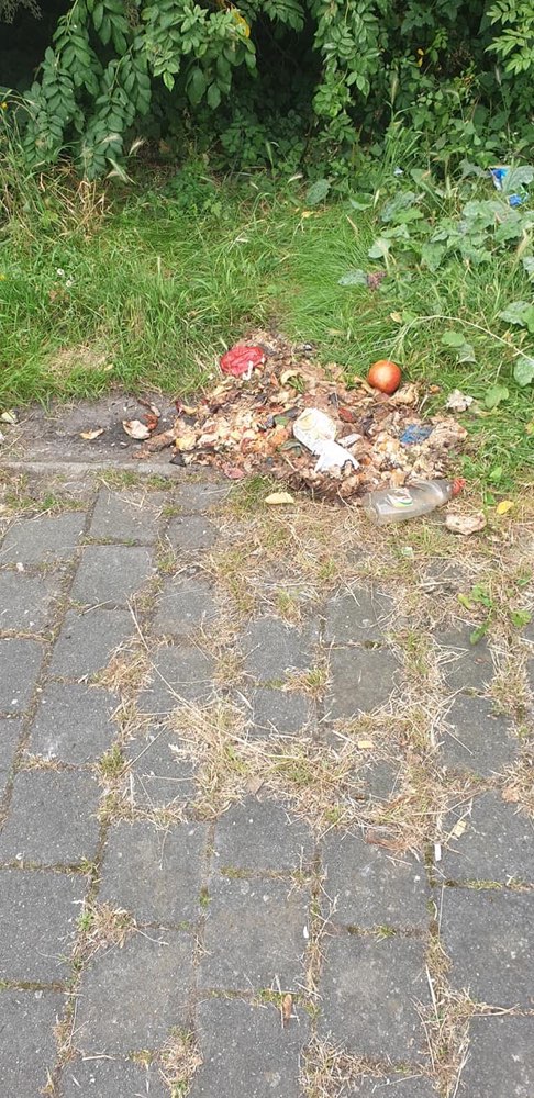 Giftköder-Fleischstücke-Profilbild