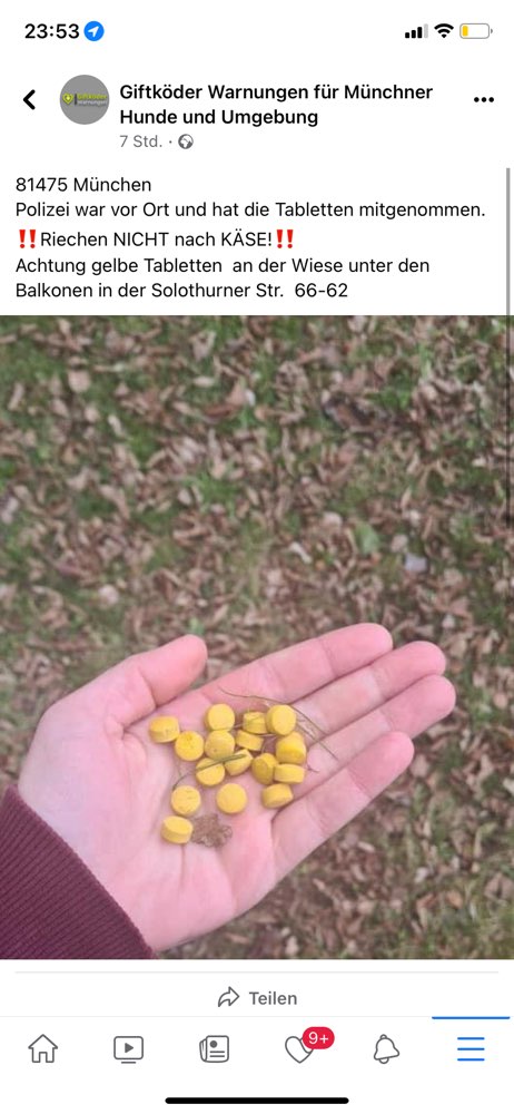 Giftköder-Giftköder-Profilbild