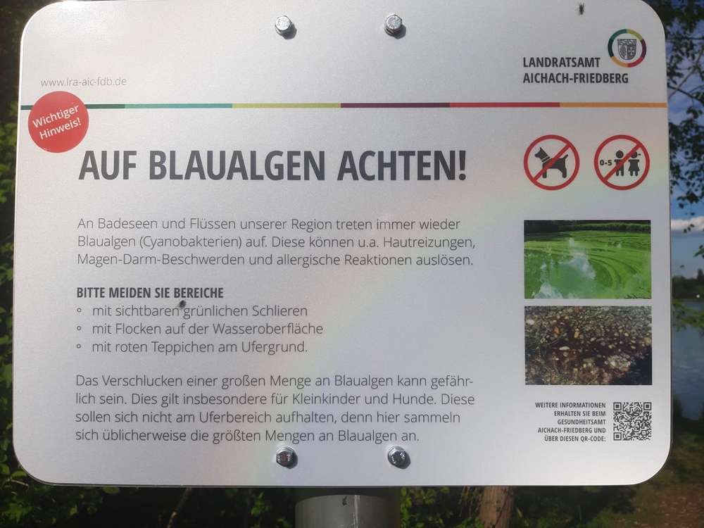 Giftköder-Blaualgen-Profilbild