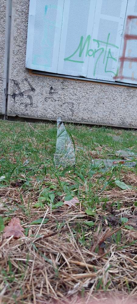 Giftköder-Glassplitter auf der Rasenfläche-Profilbild