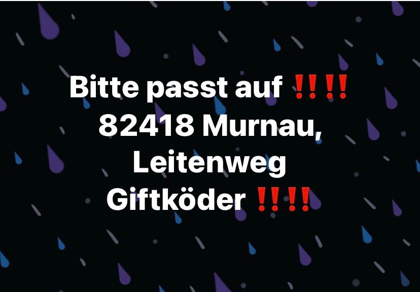 Giftköder-Giftköder-Profilbild