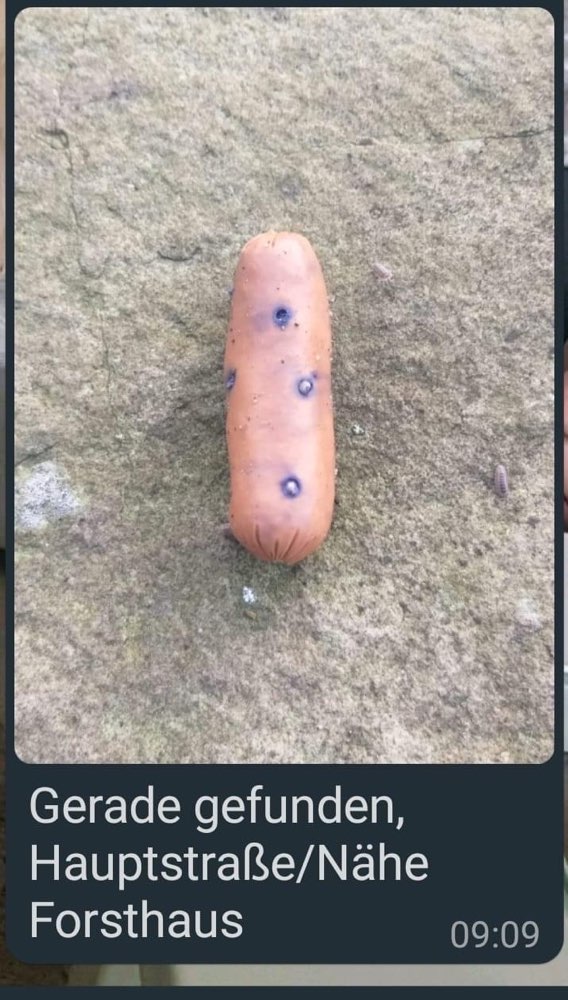 Giftköder-Wurst mit blauen Punkten und Nägeln-Profilbild