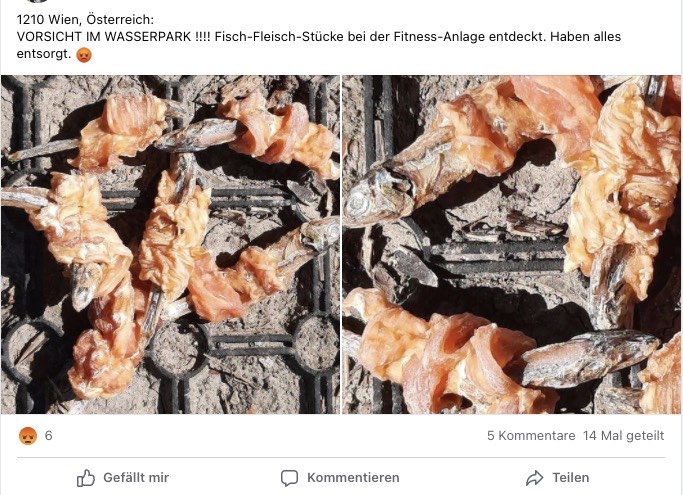 Giftköder-Ausgelegte Leckerlies-Profilbild