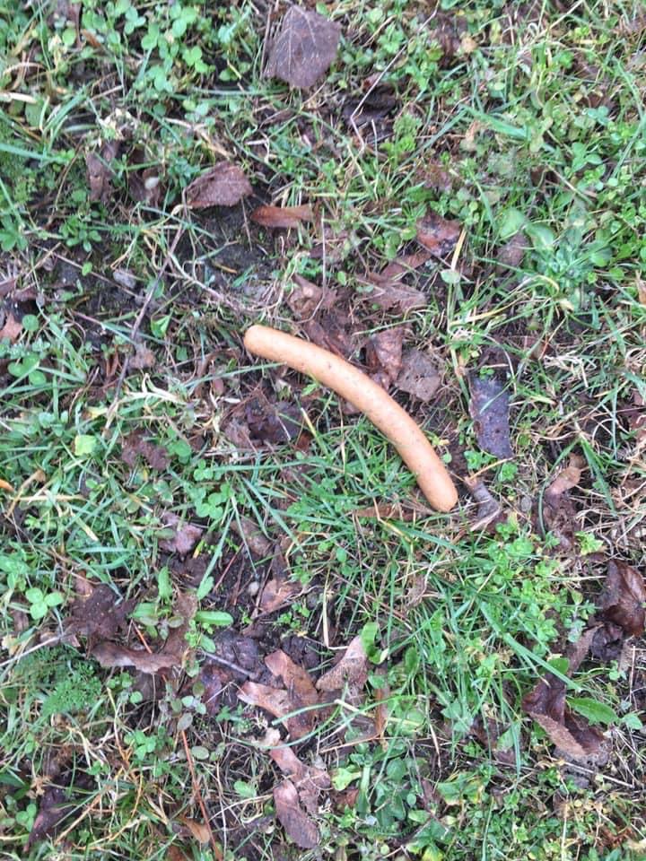 Giftköder-Ausgelegte Würstchen-Profilbild