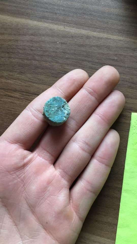 Giftköder-Rattengift-Profilbild