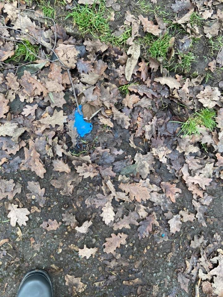 Giftköder-Rattengift-Profilbild