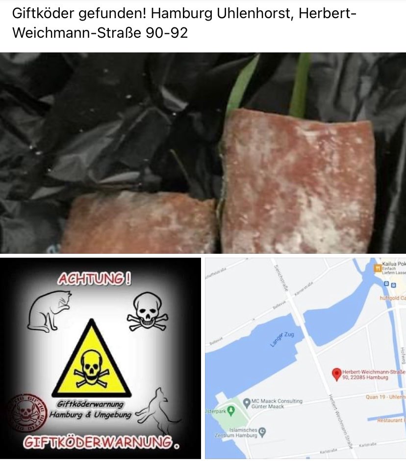 Giftköder-Giftköder-Profilbild